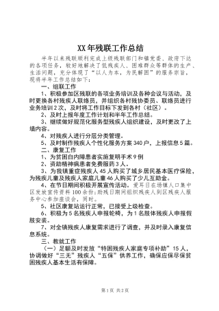 XX年残联工作总结