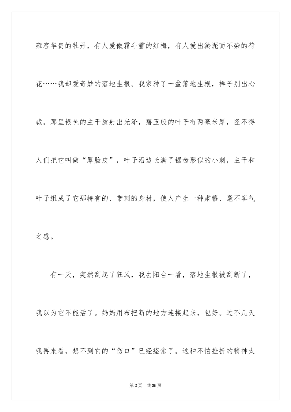 2024写物的作文_153_第2页