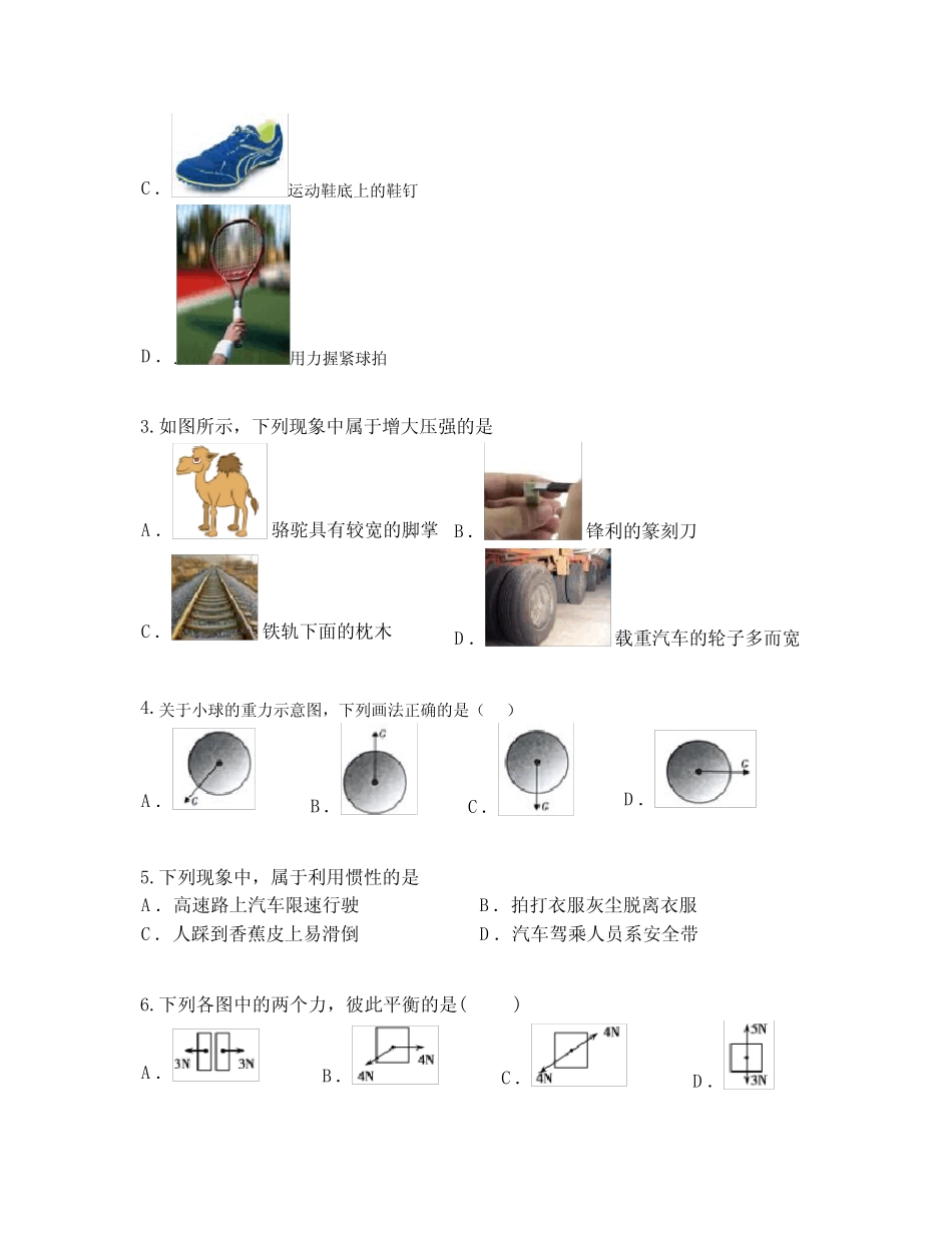 新疆喀什市2020-2021学年八年级下学期期末物理试题 _第2页