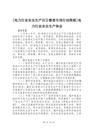 [电力行业安全生产百日督查专项行动简报]电力行业安全生产体会