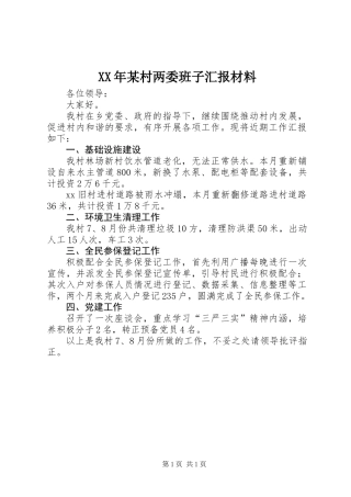 XX年某村两委班子汇报材料