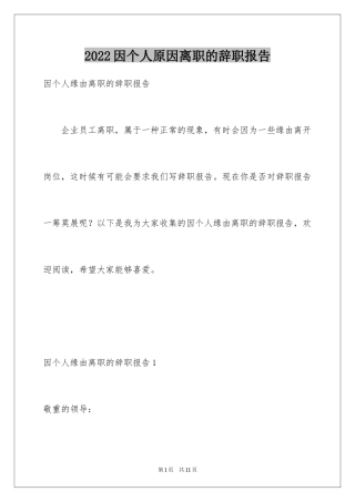 2024因个人原因离职的辞职报告_3