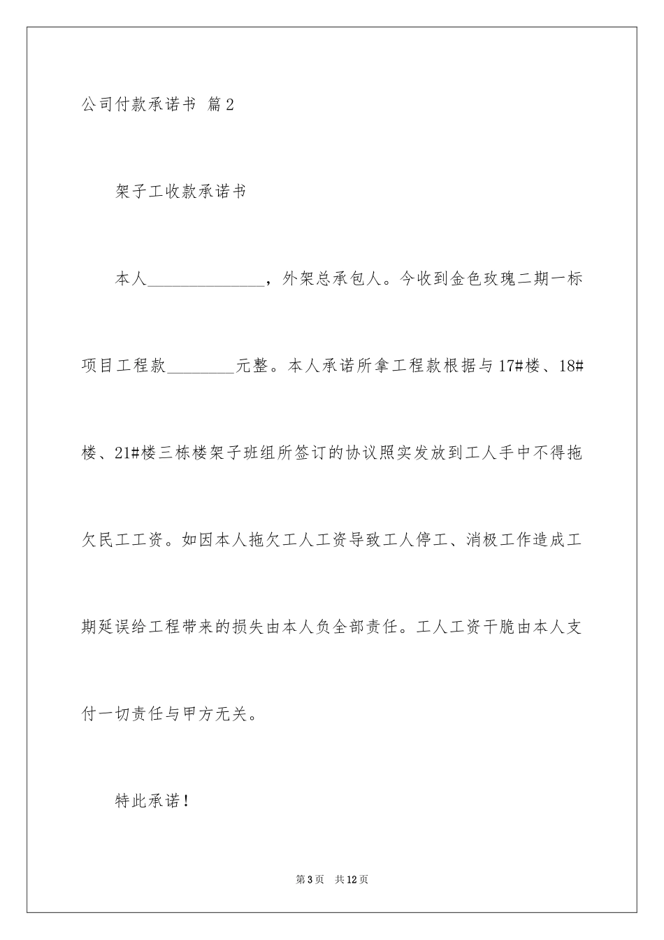 2024公司付款承诺书_5_第3页