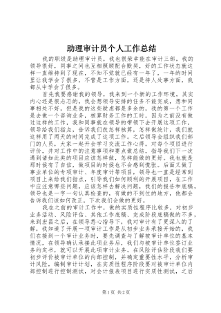 助理审计员个人工作总结