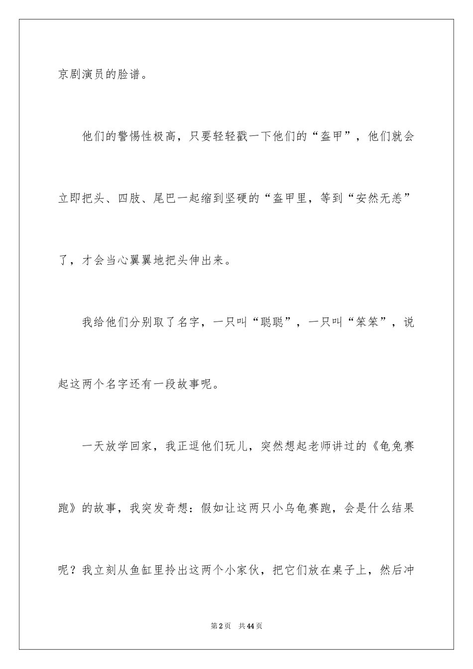 2024可爱的小乌龟_第2页