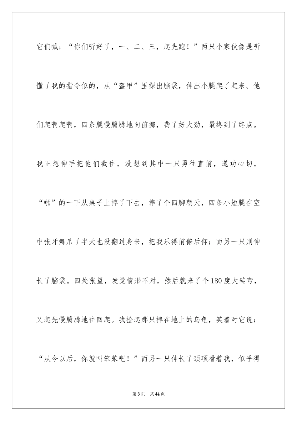 2024可爱的小乌龟_第3页