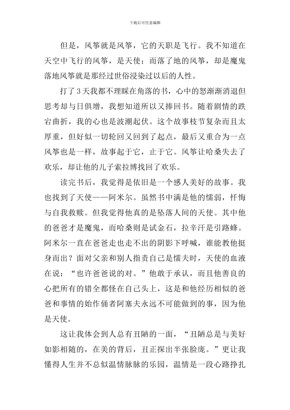 《追风筝的人》读书心得体会_第3页