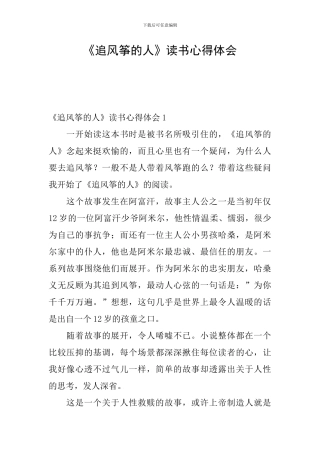 《追风筝的人》读书心得体会
