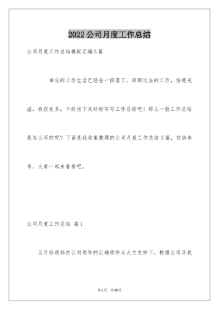 2024公司月度工作总结_9