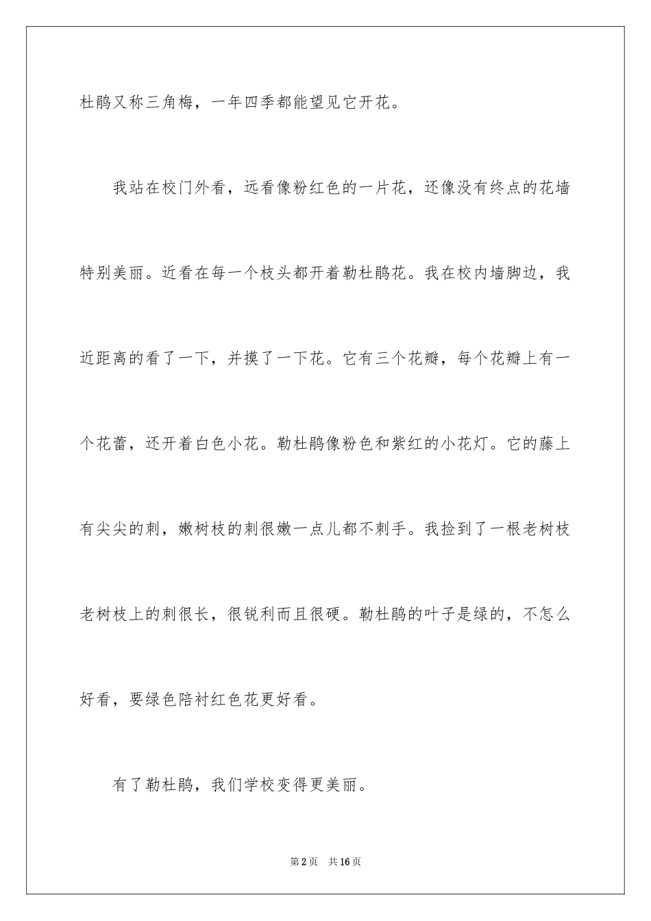 2024写物的作文300字_64_第2页