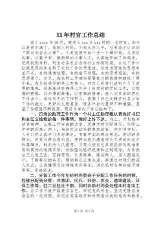 XX年村官工作总结