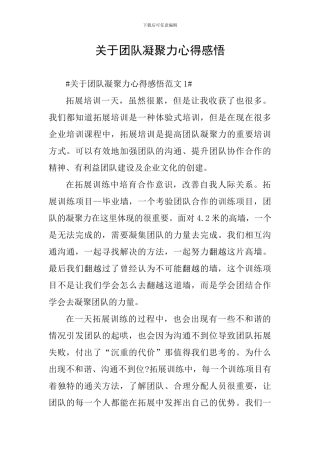 关于团队凝聚力心得感悟