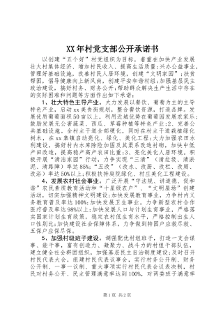 XX年村党支部公开承诺书