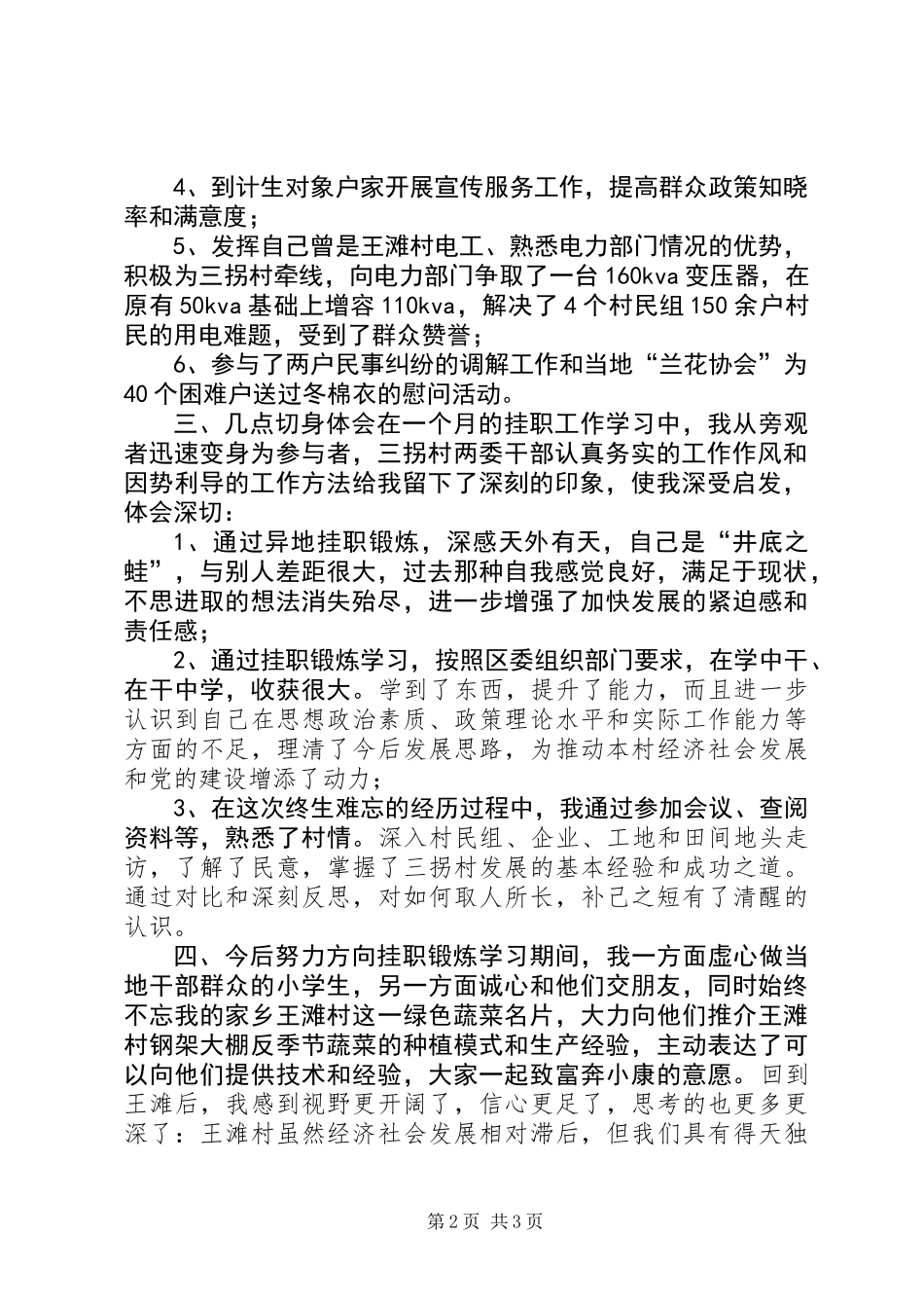 XX年村党支部书记挂职锻炼学习工作总结_第2页