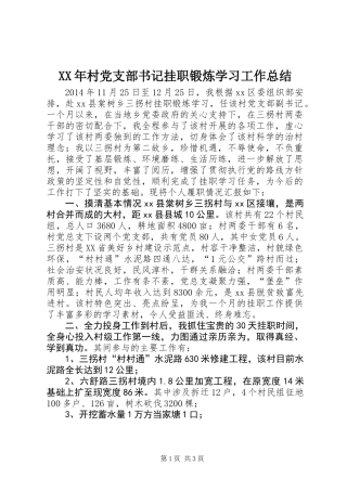 XX年村党支部书记挂职锻炼学习工作总结