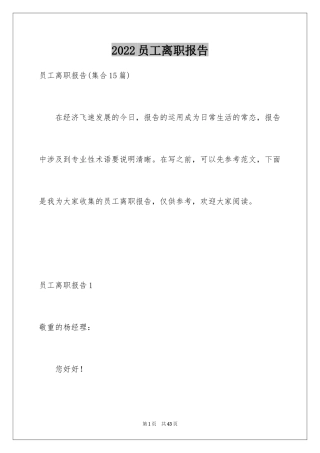 2024员工离职报告_7