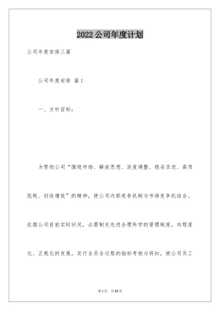 2024公司年度计划_28