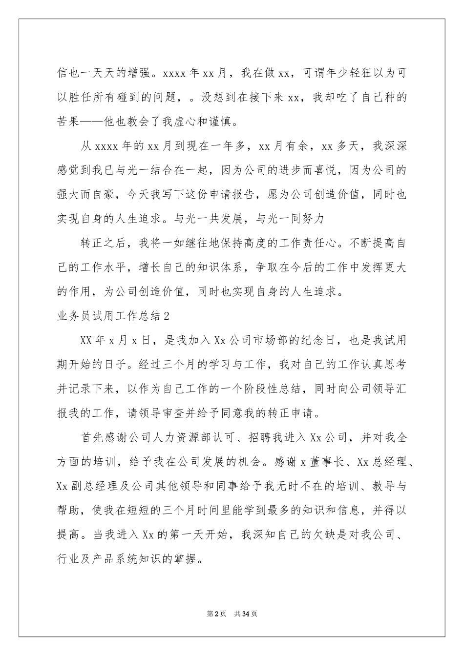 业务员试用工作参考总结_第2页