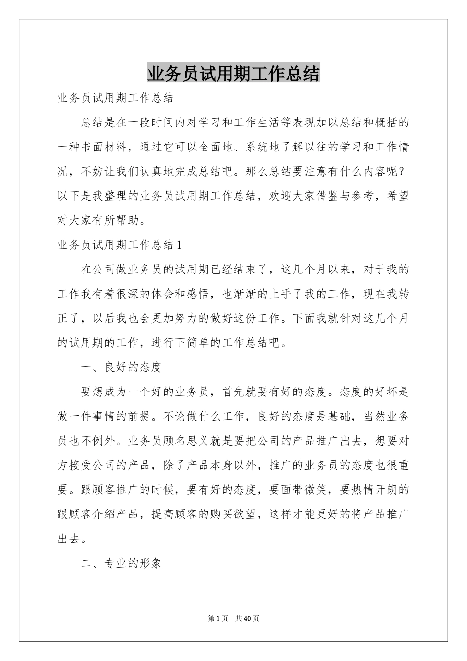 业务员试用期工作参考总结_第1页