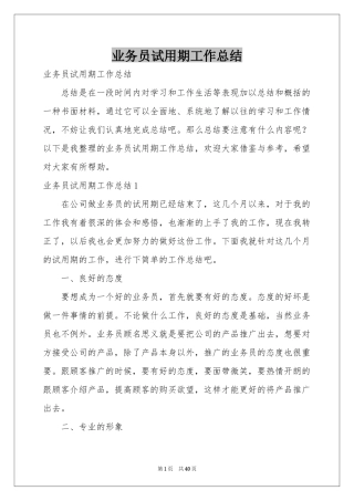 业务员试用期工作参考总结