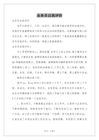 业务员自我评价