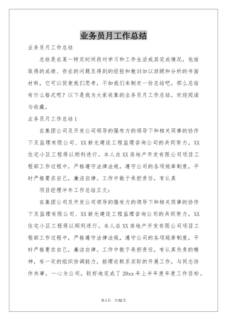 业务员月工作参考总结