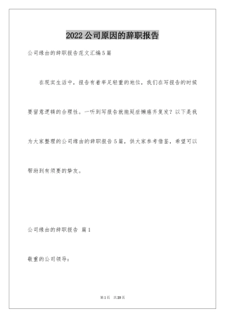 2024公司原因的辞职报告_22