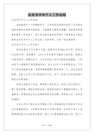 业务员半年个人工作参考总结