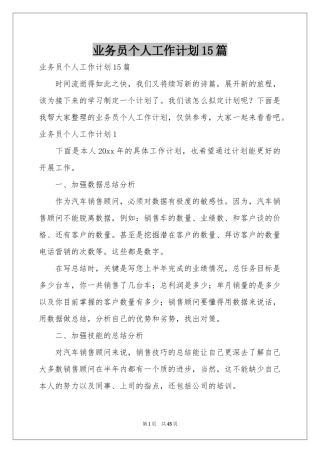 业务员个人工作参考计划15篇
