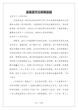 业务员个人年终参考总结