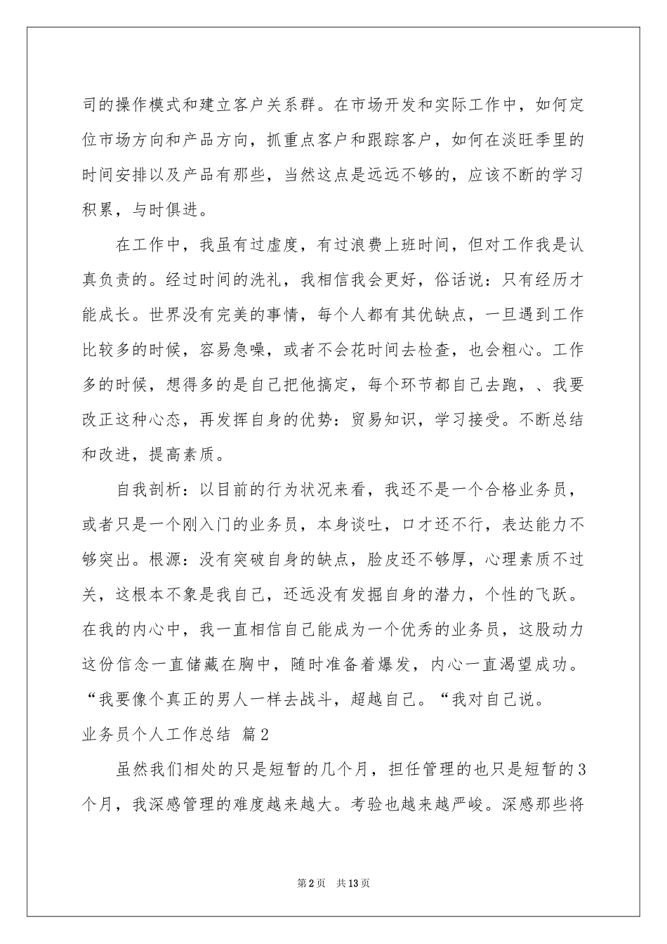 业务员个人工作参考总结5篇_第2页