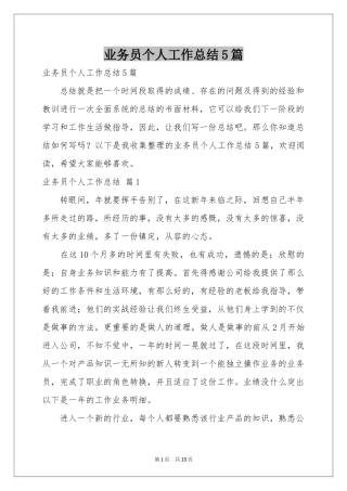 业务员个人工作参考总结5篇