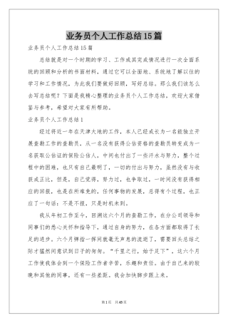 业务员个人工作参考总结15篇