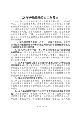 XX年普法依法治市工作要点