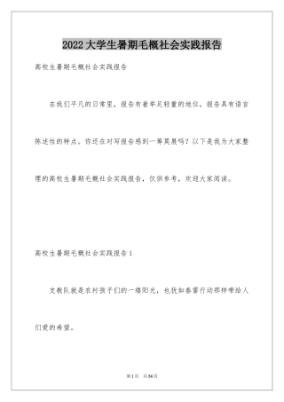 2024大学生暑期毛概社会实践报告