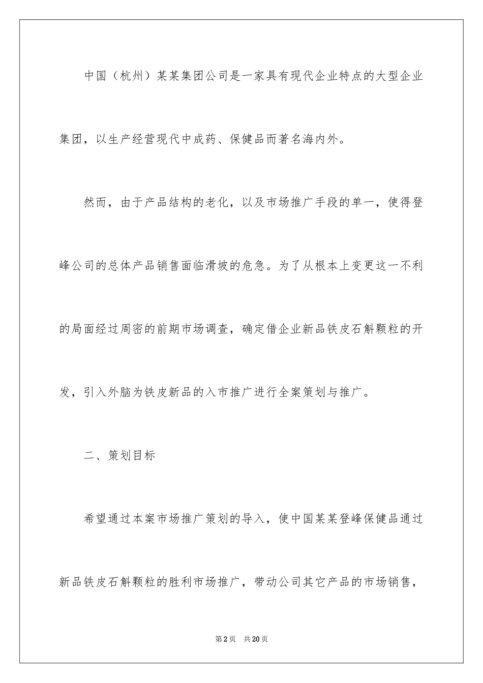 2024公司产品宣传推广方案_第2页