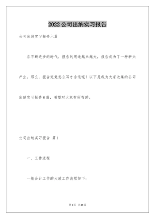 2024公司出纳实习报告