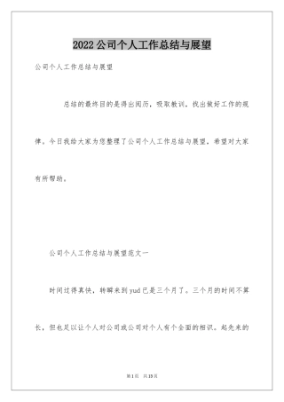 2024公司个人工作总结与展望