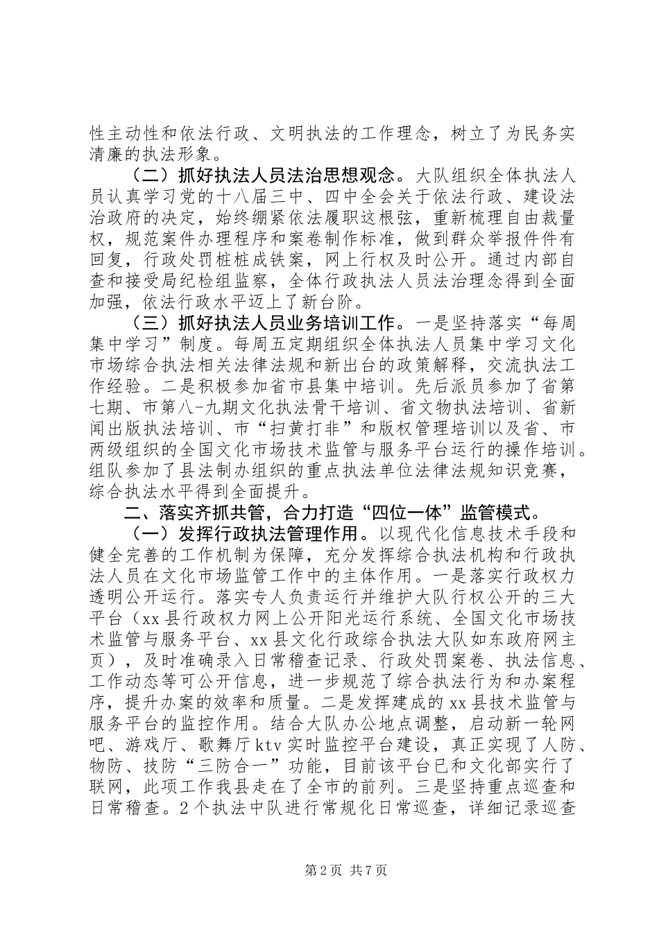 XX年文化行政综合执法大队工作总结_第2页