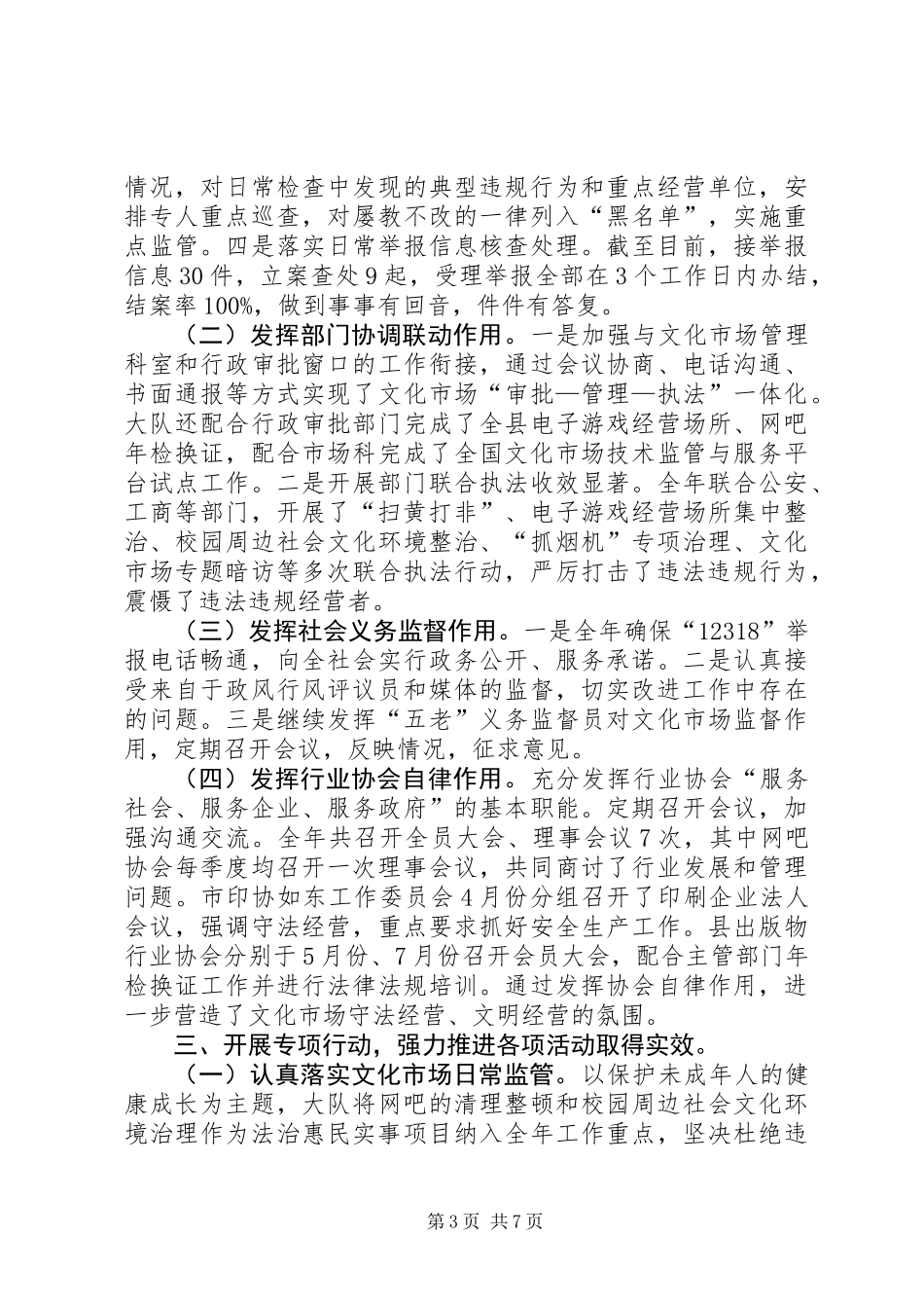 XX年文化行政综合执法大队工作总结_第3页
