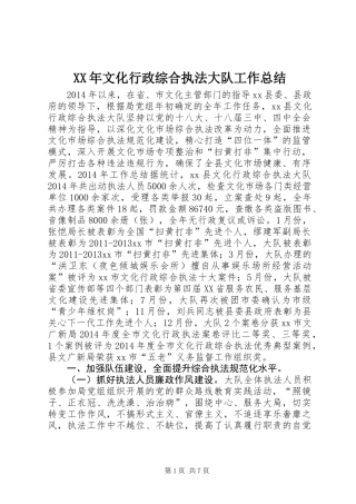 XX年文化行政综合执法大队工作总结