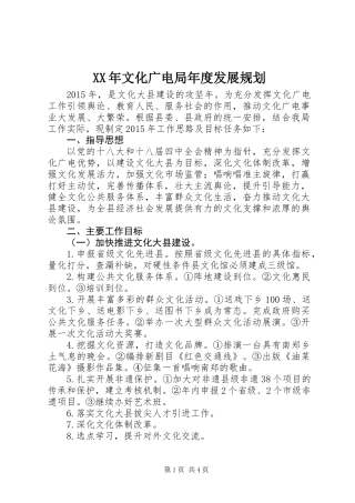 XX年文化广电局年度发展规划