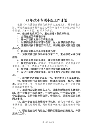 XX年改革专项小组工作计划