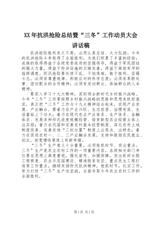 XX年抗洪抢险总结暨“三冬”工作动员大会讲话稿