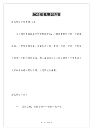 2024婚礼策划方案_19