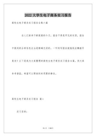 2024大学生电子商务实习报告_1