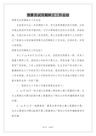 预算员试用期转正工作参考总结