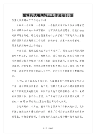 预算员试用期转正工作参考总结13篇