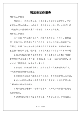 预算员工作报告