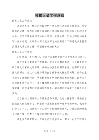 预算人员工作参考总结